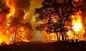 PERICOLOSITA' INCENDI BOSCHIVI